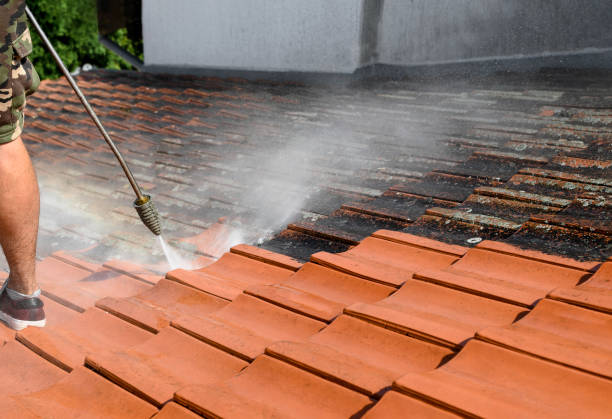 Best Roof Pressure Washing  in Detroit Beach, MI
