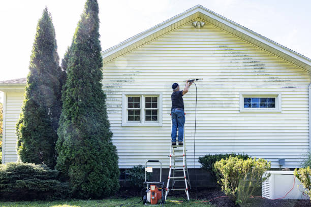 Best Pressure Washing Company Near Me  in Detroit Beach, MI