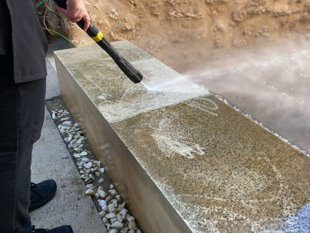 Best Residential Pressure Washing Services  in Detroit Beach, MI