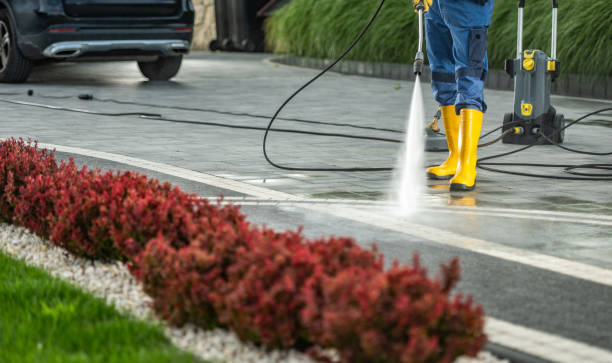 Pressure Washing Brick in Detroit Beach, MI