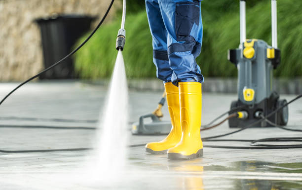 Best Pressure Washing Near Me  in Detroit Beach, MI