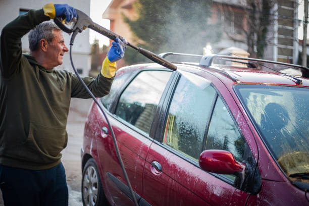 Best Roof Pressure Washing  in Detroit Beach, MI