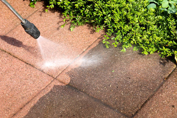 Best Fence Pressure Washing  in Detroit Beach, MI